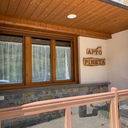 Apartamento Pineta Bielsa Extérieur photo
