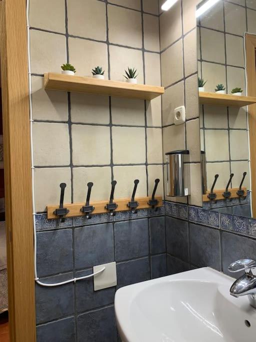 Apartamento Pineta Bielsa Extérieur photo